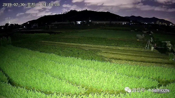 1_resize.jpg 1_resize.jpg