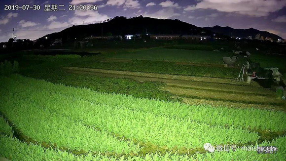 2_resize.jpg 2_resize.jpg